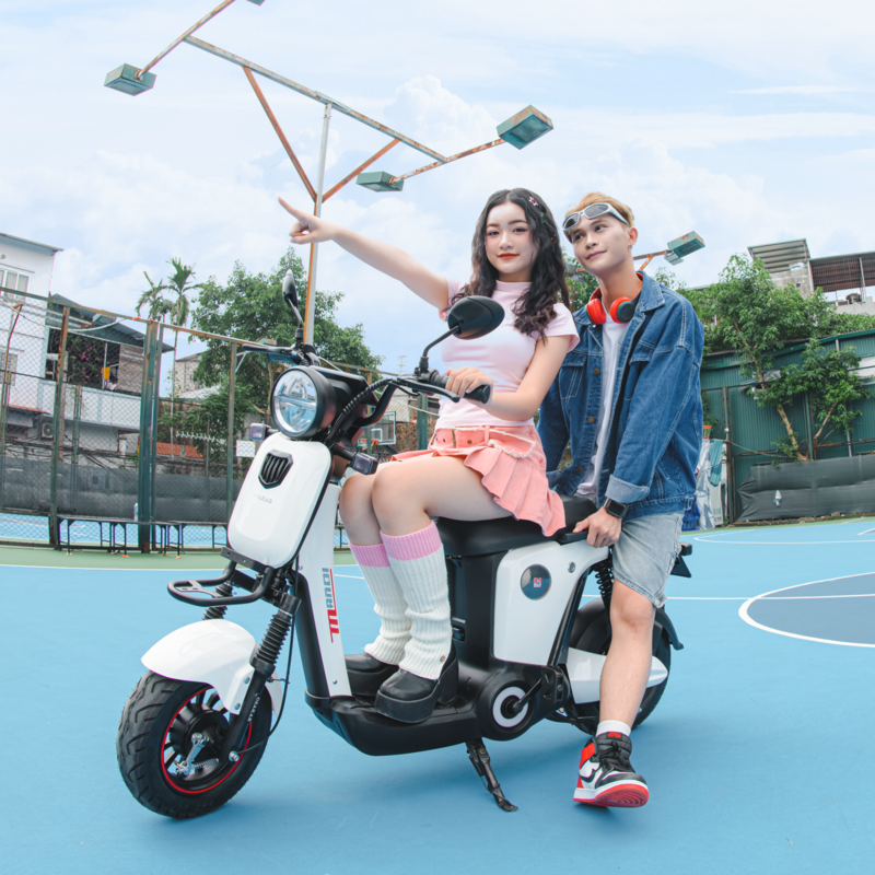 Xe đạp điện không phải phương tiện cơ giới theo luật hiện hành nên không cần đăng ký biển số